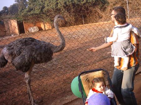 asia chamss    01.11.2007