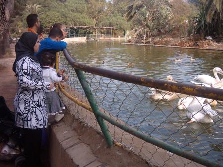 hanan    alhadi momhamad