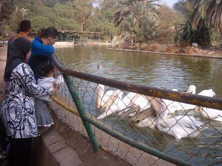 hanana   alhadi     10  11  2007