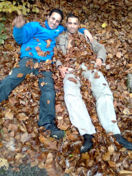 salam   28...11..2008