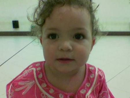 ������ 2006