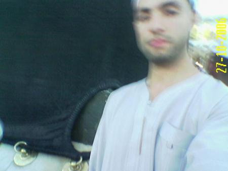 ���� ����� �������